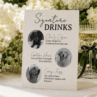 Panneau de bar pour boissons signatures de mariage