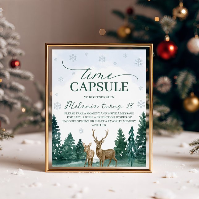 Panneau de capsule temporelle de Winter ONEderland (Créateur téléchargé)