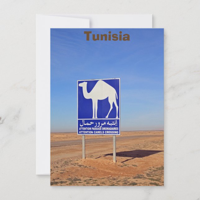 Panneau de chameaux, Tunisie, carte (Devant)