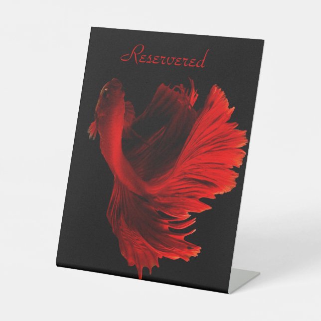 Panneau de piédestal réservé (Recto)