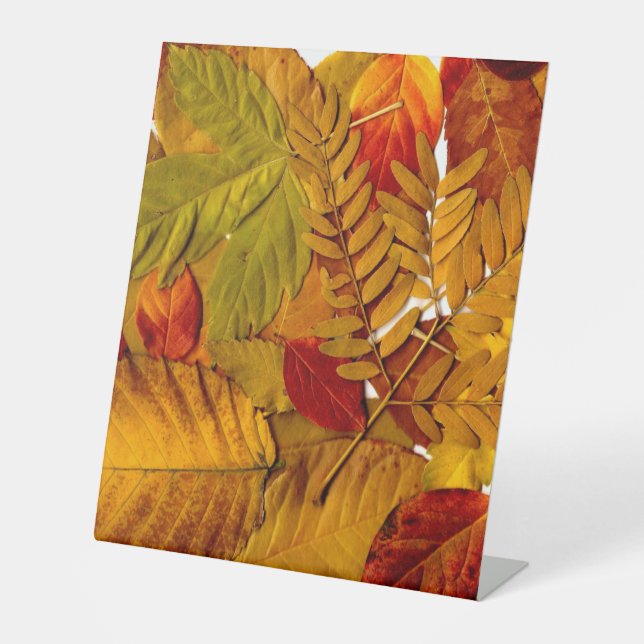 Panneau de socle en plastique 10"X12" (Recto)