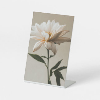 Panneau du piédestal