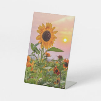 Panneau du piédestal