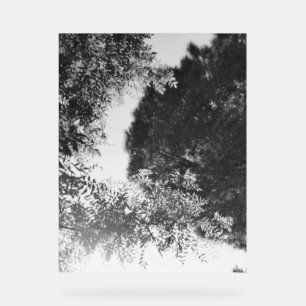 PANNEAU EN ACRYLIQUE 