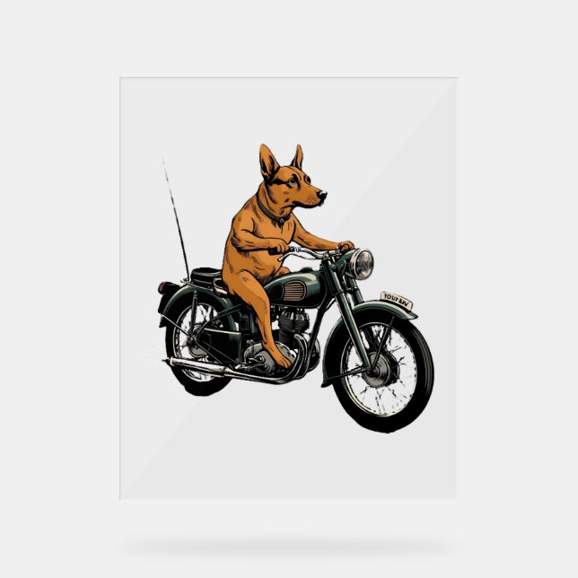 Panneau En Acrylique A Cool Dog Riding a Motorcycle (Recto)