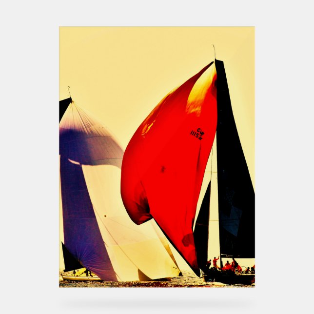 Panneau En Acrylique A magnific Poster for your living room, bedroom (Recto)