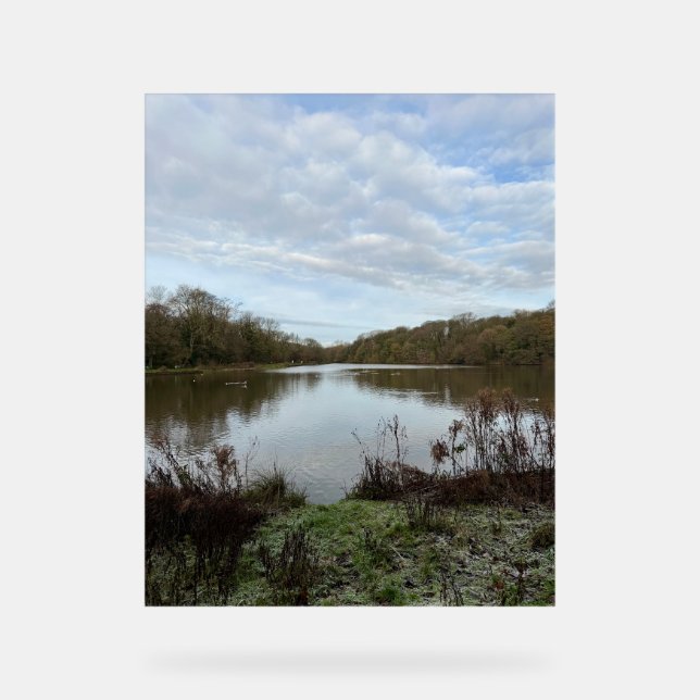 Panneau En Acrylique A peacful lake.. (Recto)