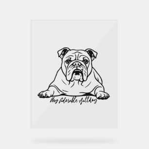 Panneau En Acrylique Adorable Bulldog