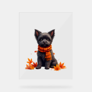 Panneau En Acrylique Affenpinscher Au Coeur Fait De Feuilles D'Automne