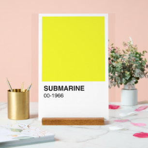 Panneau En Acrylique Album de chanson jaune - Arrière - plan blanc