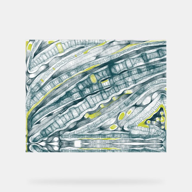 Panneau En Acrylique Algues Sous Verre (Recto)
