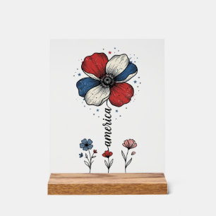 Panneau En Acrylique Amérique Fleurie Patriotique Vintage Vector Design
