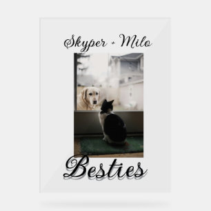 Panneau En Acrylique Amis animaux meilleures amies ajoutez nom photo an
