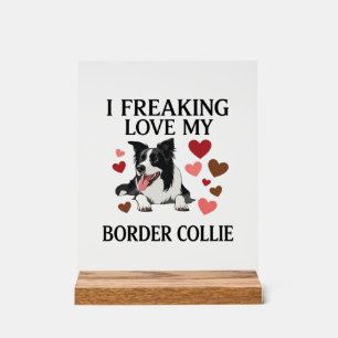 Panneau En Acrylique Amour fou pour les chiens Border Collie_1