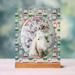 Panneau En Acrylique Amoureux des chats Photo de chat festif mignon Noë