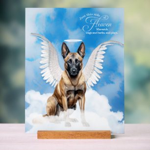 Panneau En Acrylique Angel Malinois belge avec nom Pet Memorial