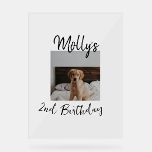 Panneau En Acrylique Animateur chien chat animal photo moderne simple