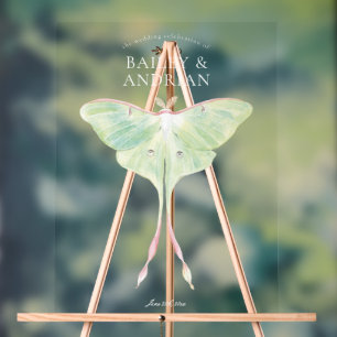 Panneau En Acrylique Aquarelle Luna Moth Mariage