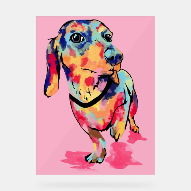 Panneau En Acrylique Arc-en-ciel (Recto)