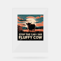 Arrêtez La Voiture Voir Fluffy Cow Highland Cow Fa