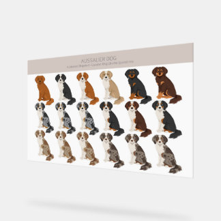 Panneau En Acrylique Aussalier dog mix