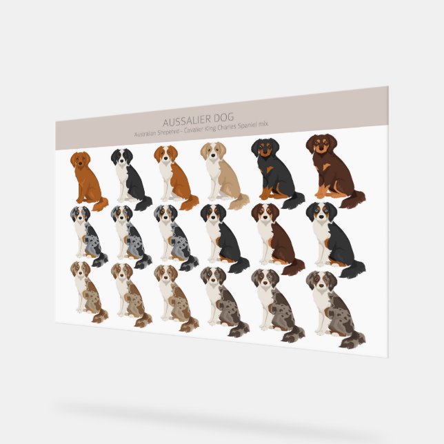 Panneau En Acrylique Aussalier dog mix (Angle)