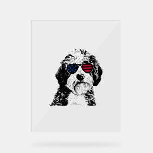 Panneau En Acrylique Aussiedoodle Chien 4 juillet Amérique États-Unis D