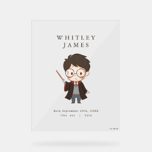 Panneau En Acrylique Baby shower Harry Potter simple