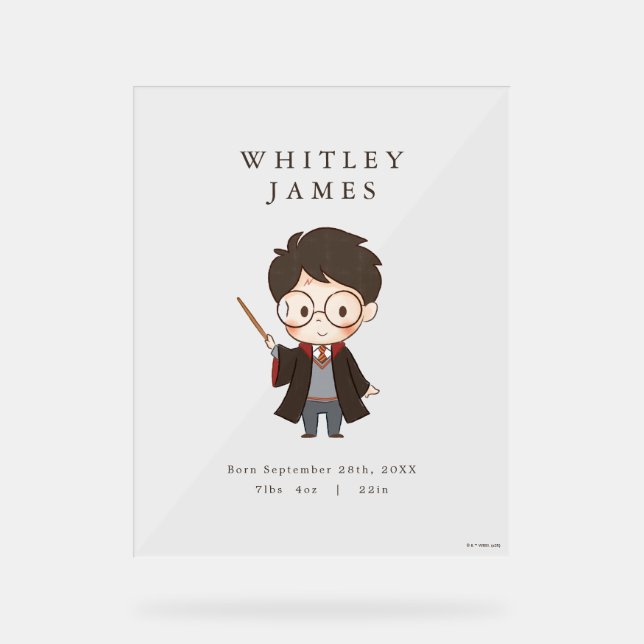 Panneau En Acrylique Baby shower Harry Potter simple (Recto)