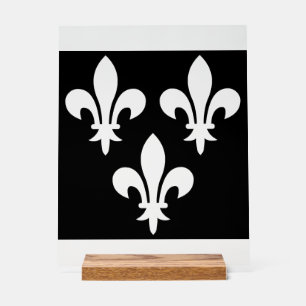 Panneau En Acrylique Bannière médiévale de France