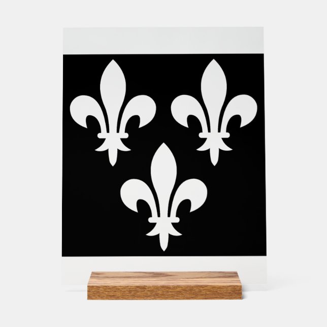 Panneau En Acrylique Bannière médiévale de France (Recto)