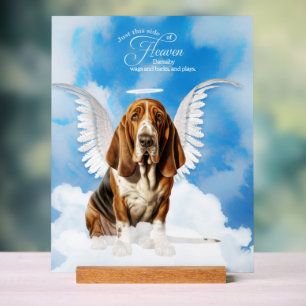 Panneau En Acrylique Basset Hound Angel Chien Nom animal Mémorial