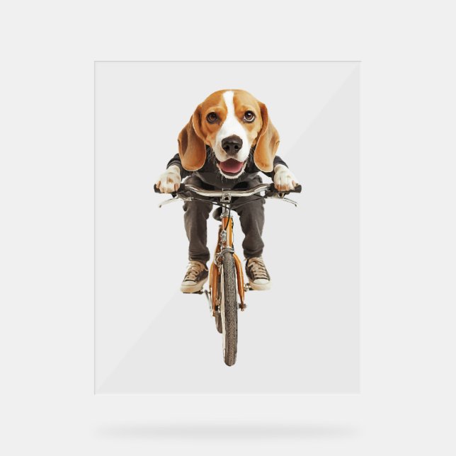 Panneau En Acrylique Beagle   (Recto)
