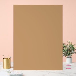 Panneau En Acrylique Bloc de couleur pêche et bronzée Conception de m