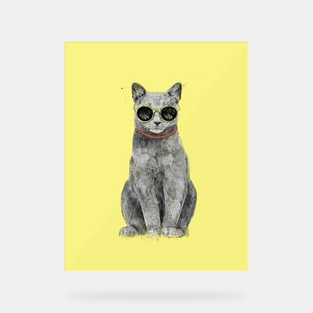 Panneau En Acrylique Bonjour été (Recto)