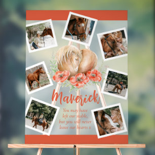 Panneau En Acrylique Brown cheval souvenir pops aquarelle photo