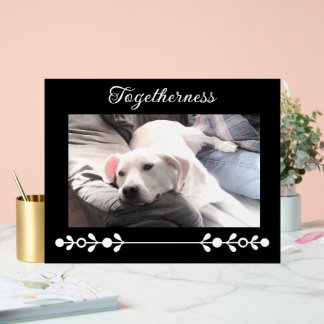 Panneau En Acrylique Cadre décoratif noir avec photo de joli chien blan