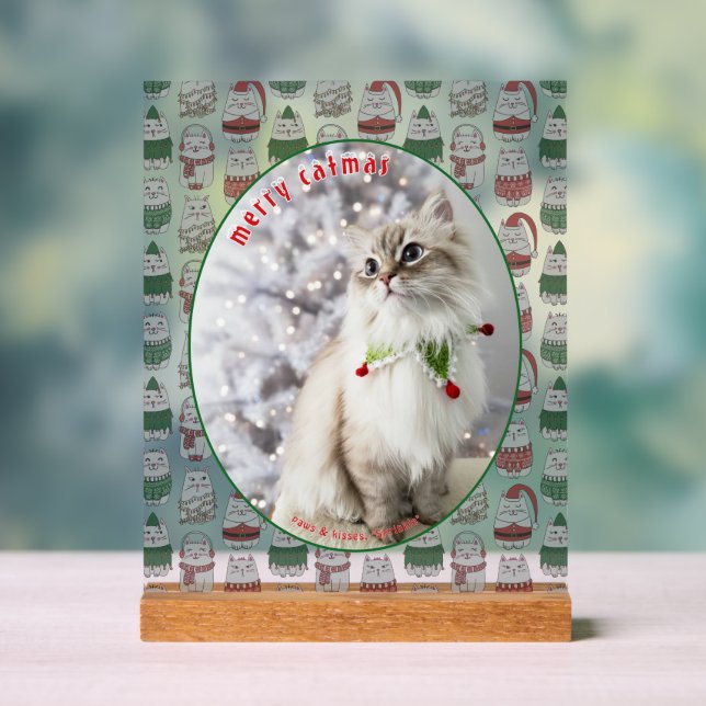 Panneau En Acrylique Cat Lover Cute Festive Cat Photo Christmas (Neutre)