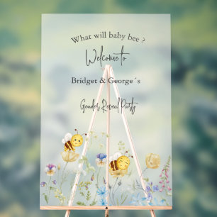 Panneau En Acrylique ce que le genre bébé bebe révélera la fête gelée