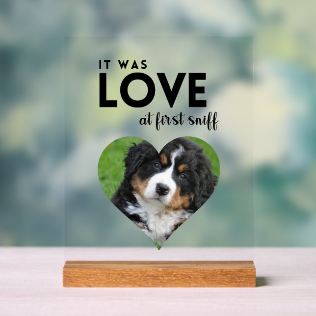 Panneau En Acrylique C'était LOVE Custom photo Dog Memorial (Neutre)