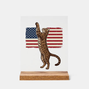 Panneau En Acrylique Chat patriotique Drapeau américain Design vectorie