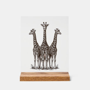 Panneau En Acrylique Chemise de safari avec gravure de girafe vintage a
