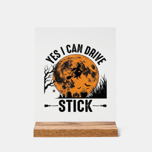 Panneau En Acrylique Chemise rétro sorcière drôle d'Halloween Drive Sti