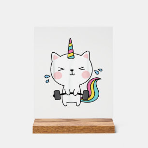 Panneau En Acrylique Chemise T Licorne Chat Entraînement Gymnase Arc-en