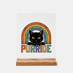 Panneau En Acrylique Chemise Vintage Purride Chat Noir Arc-en-Ciel Desi