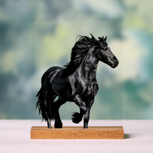 Panneau En Acrylique Cheval noir (Neutre)