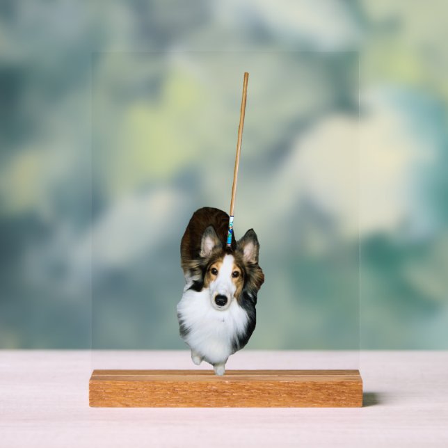 Panneau En Acrylique Chien à la broche (Neutre)