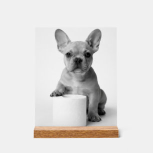 Panneau En Acrylique Chien Bouledogue Français Mignon Minimaliste Garda