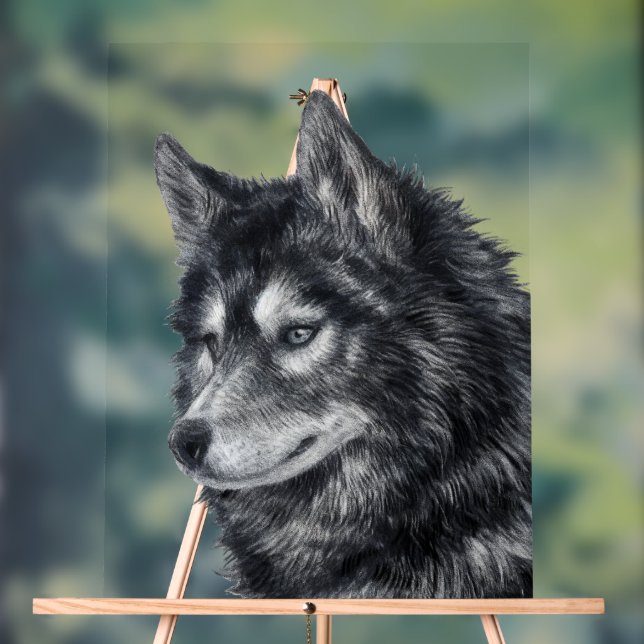 Panneau En Acrylique Chien de Balto (Neutre)