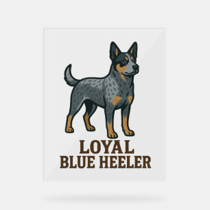 Panneau En Acrylique Chien de bétail australien Loyal Blue Heeler